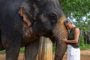 Azamara Cruises Elephant Sanctuary in Thailand © Jenna Lyn, Azamara Cruises2.jpg